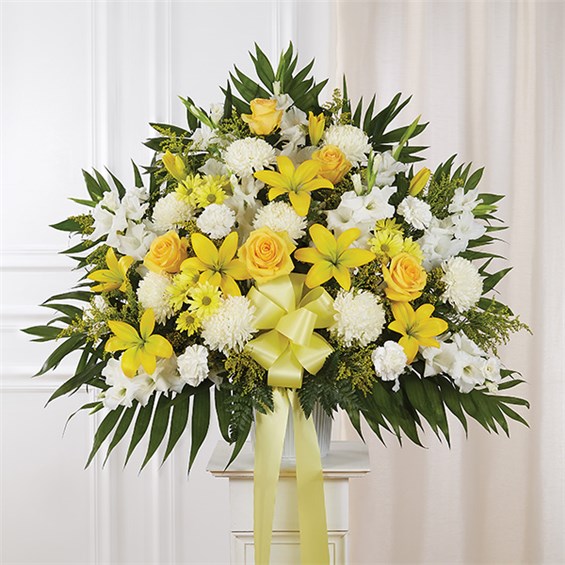 148703m_HR_fd_05_02_17